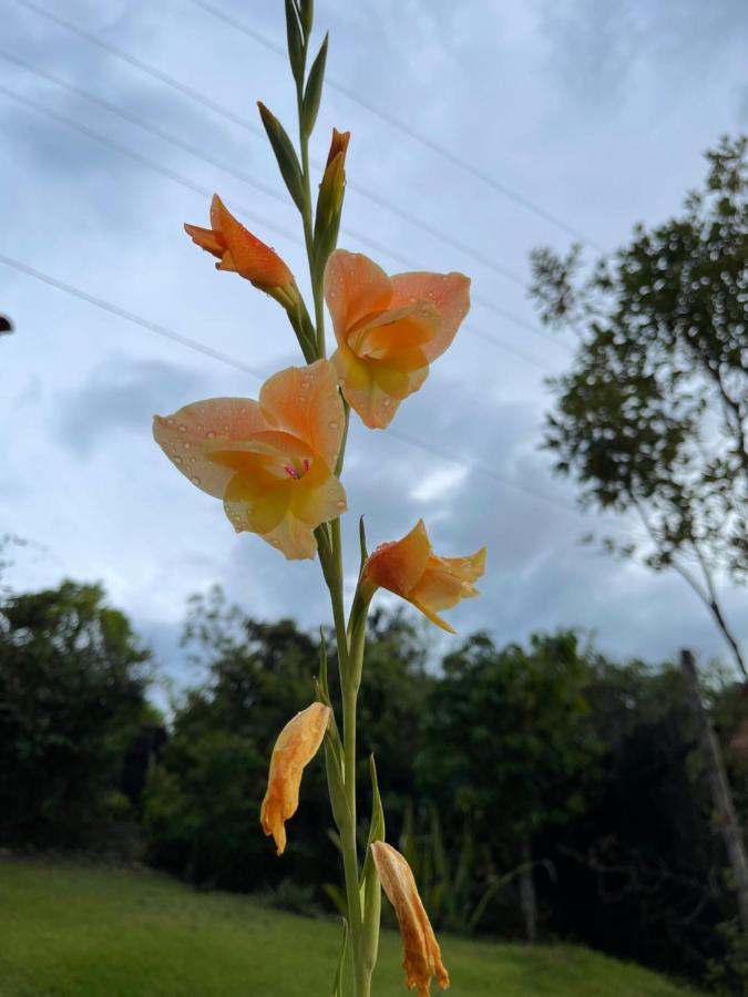 Studio Ushunawa Alto Paraíso de Goiás Dış mekan fotoğraf